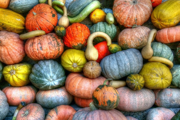 昆明生鮮配送公司哪家好？